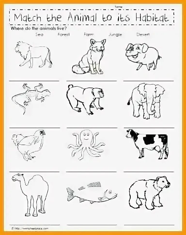 Do they like animals. Where animals Live Worksheets for Kids. Where do animals Live Worksheets. Where do animals Live. Where do animals Live Worksheets for Kids.