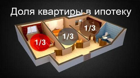 Доли в квартире в процентах