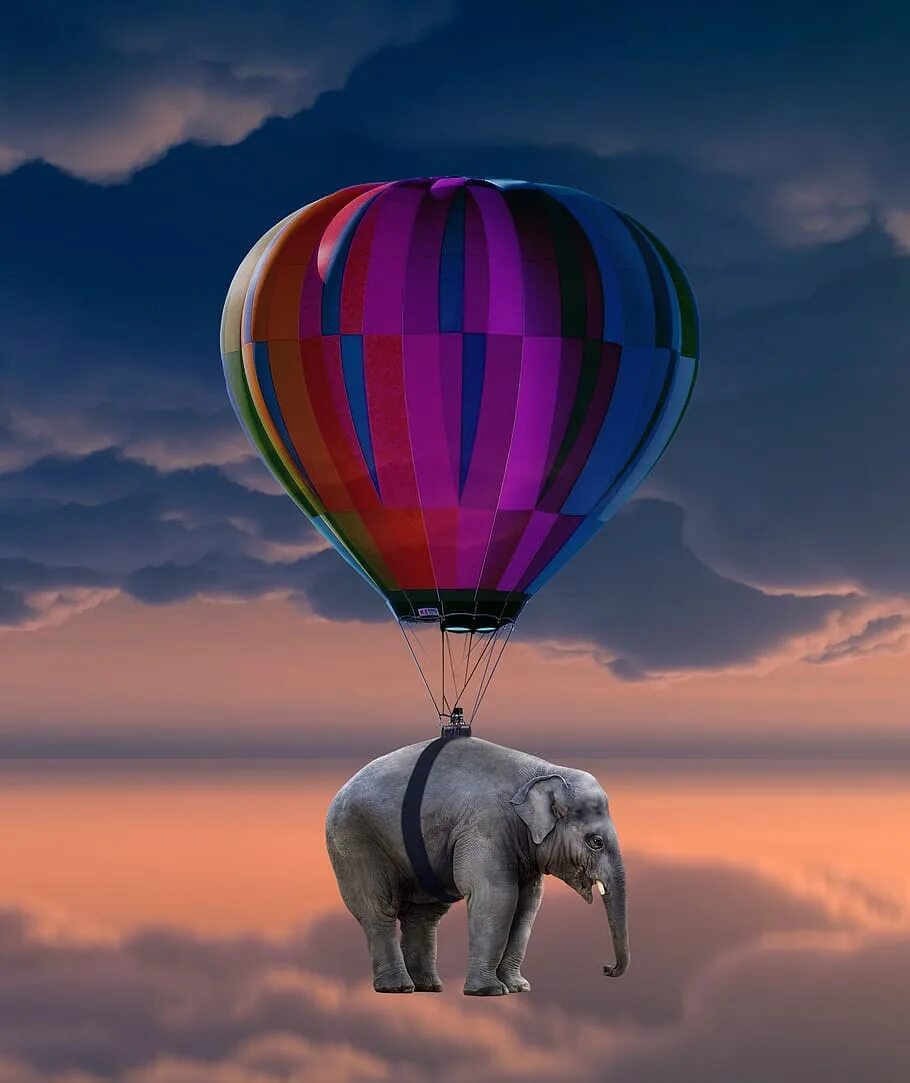 Про воздушный шар. Слон на воздушном шаре. Слон на воздушных шариках. Слоник на воздушном шаре. Улетающий воздушный шар.