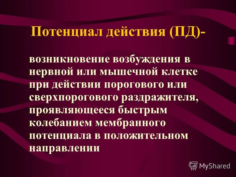 Пороговый раздражитель это в физиологии. Подпороговые пороговые и сверхпороговые раздражители физиология. Мембранная теория возбуждения физиология. Раздражители возбудимых тканей. Сверхпороговый раздражитель.