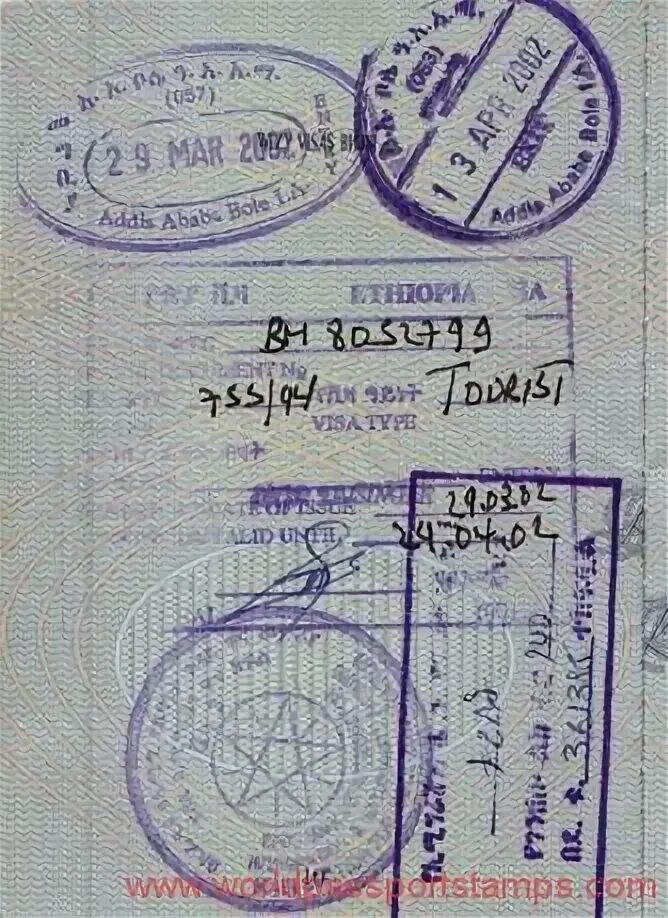 виза в эфиопию. виза в эфиопию. эфиопия виза для россиян. эфиопия виза для россиян 2022. виза в эфиопию для россиян 2021.