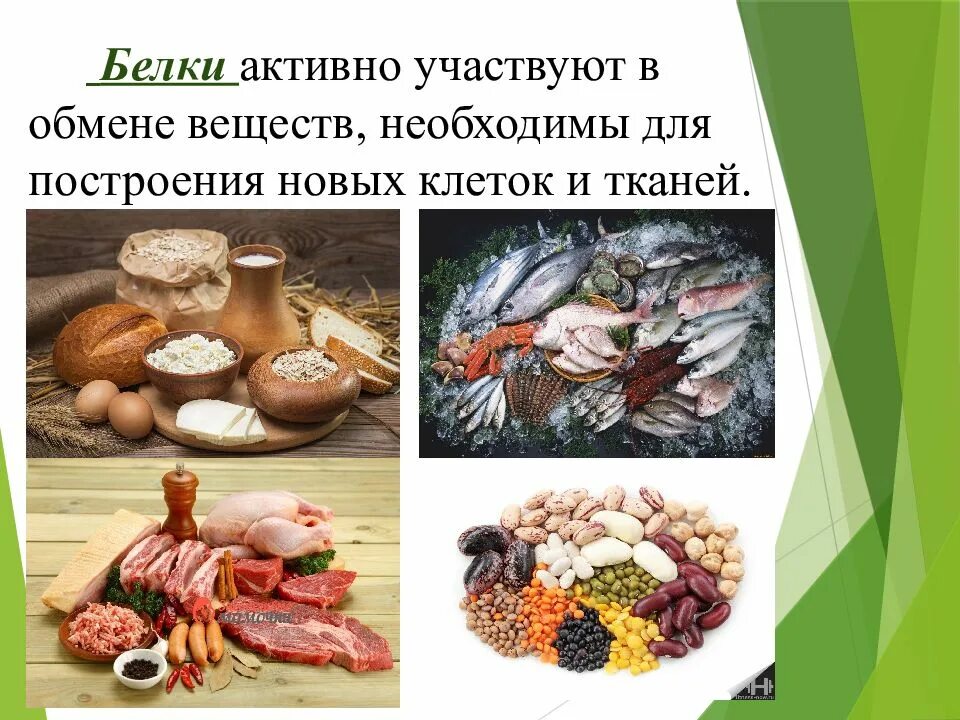 Основы здорового питания 5 класс технология