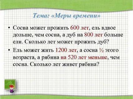 Сосна лет живет