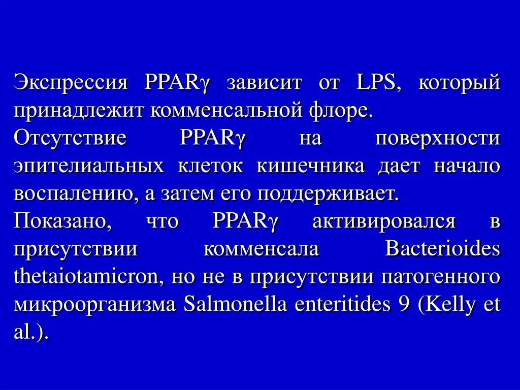 Микрофлора отсутствует