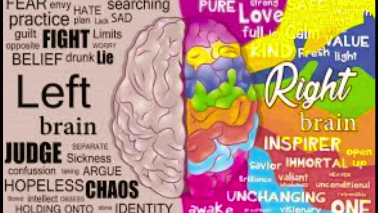 Right brained left brained. Left brain. left and right brain. right side brain. left brain right brain.