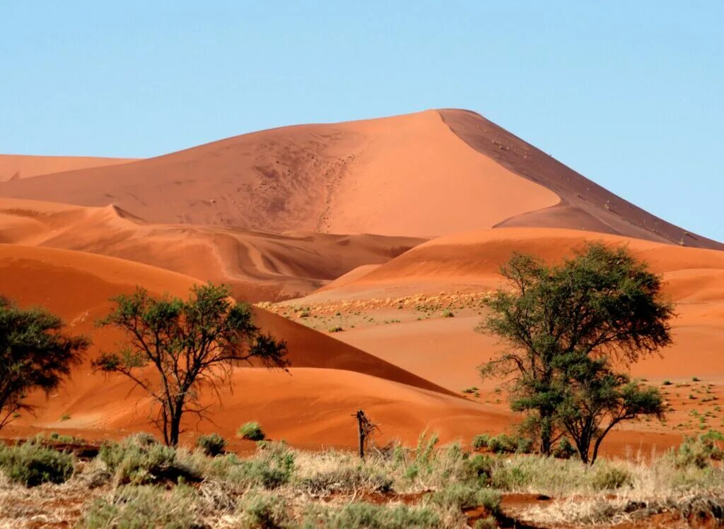 Пустыни восточной африки. Пустыня намиб в африке. Пустыня намиб климат. Эль-азизия ливия. Пустыни восточной африки.