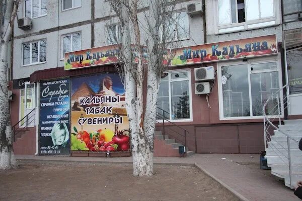 Улица бажова 11 чебоксары. Бажова 11 волгоград. Зоомагазин багира спб. Гагарина 34. Багира ул энгельса 70 отзывы.