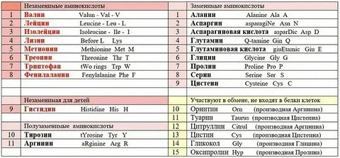 Назовите заменимые аминокислоты