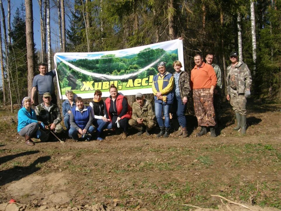 Владимирская область лесное хозяйство. Гау владлесхоз владимирской области. Лесное хозяйство владимирской области. Владимирская область лесной фонд. Владимирская область лесное хозяйство.