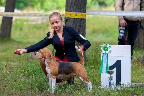 Хендлер