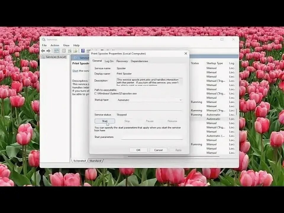 Pcl xl error kyocera. Pcl xl error kyocera