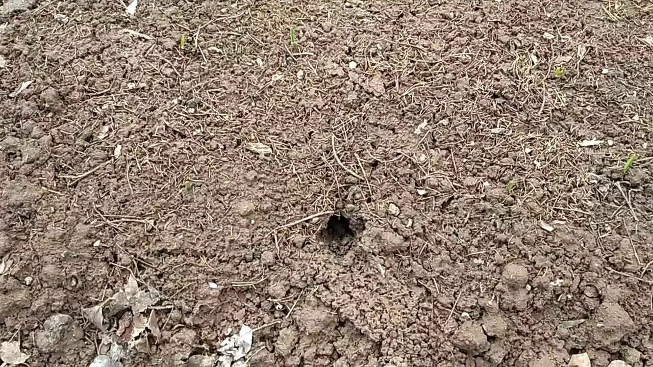 Как выглядят ходы