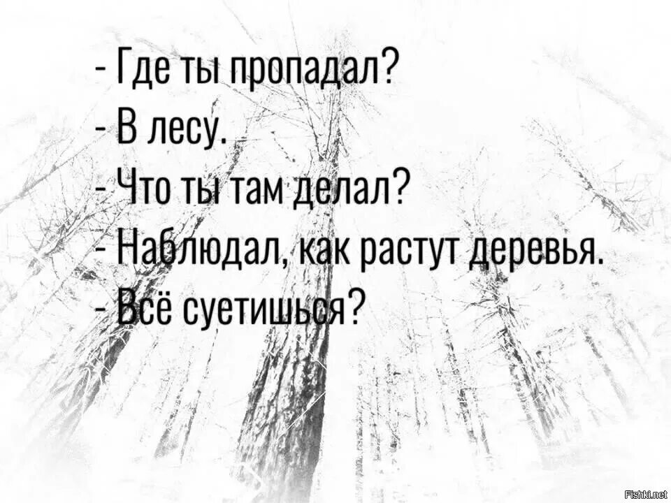 Смотрю как деревья растут все суетишься. С отрю как деревья растут. Смотрю как деревья растут. Что делаешь смотрю как деревья растут все суетишься. Куда делись