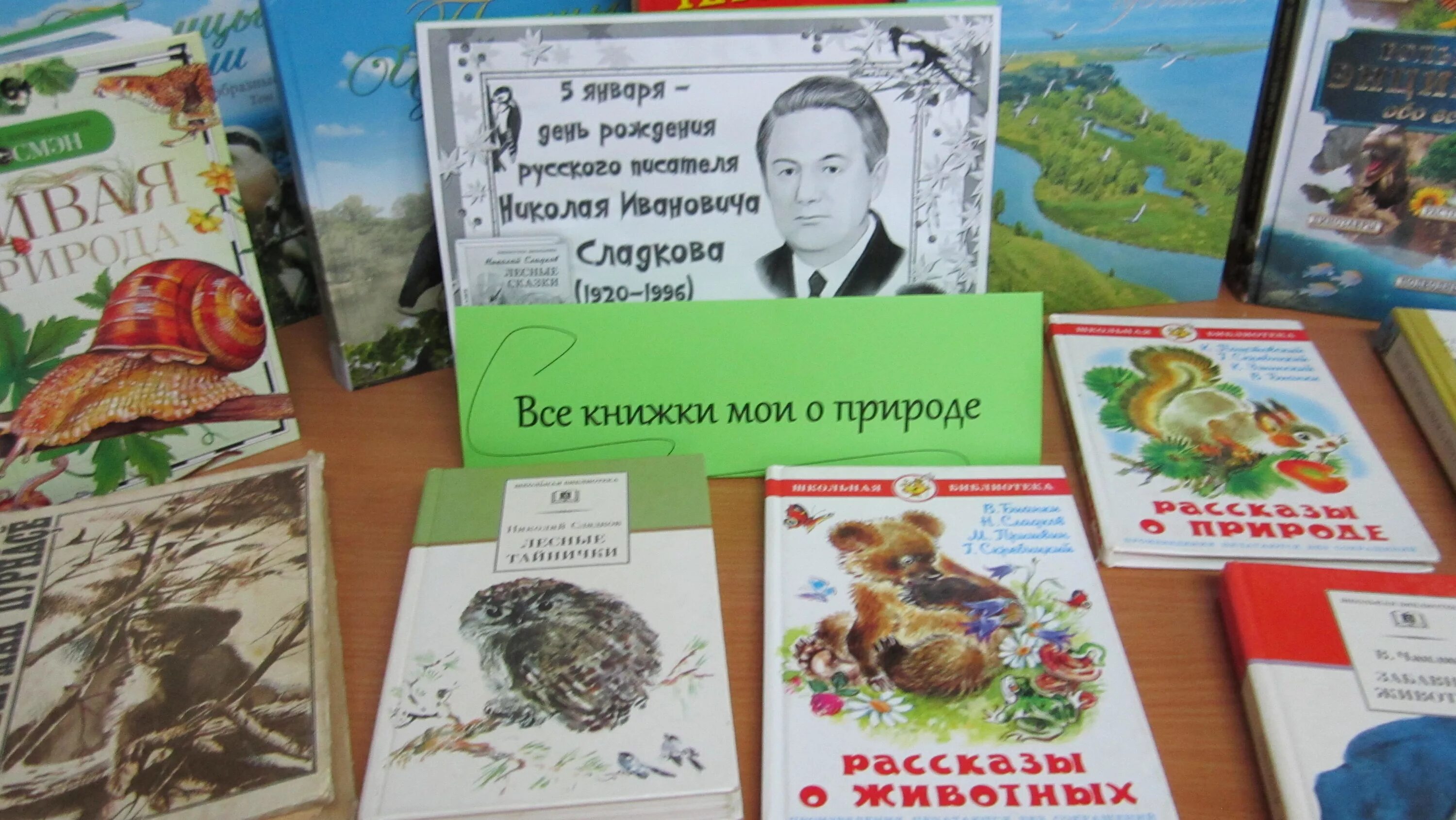 Выставка русских писателей. Сладков писатель натуралист. Книжная выставка Сладкова.