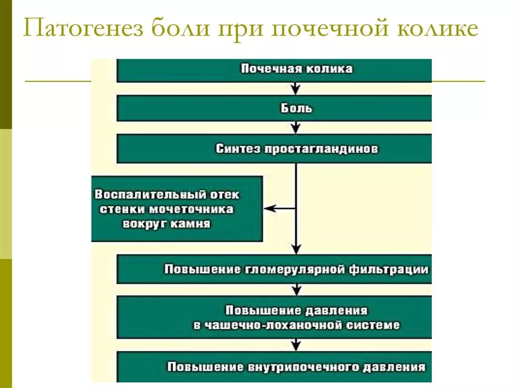 Патогенез почечной колики. Механизм развития почечной колики. Почечная колика этиология патогенез клиника. Почечная колика механизм возникновения. Болевые колики