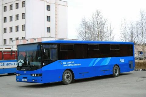 Автобусы рыбное