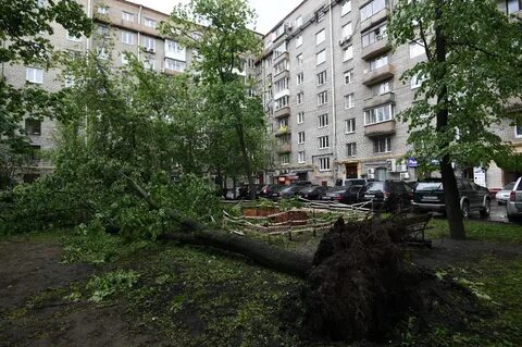 Буря в подмосковье сегодня