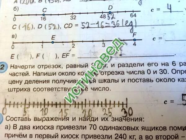 Начерти отрезок 8 см разделить его