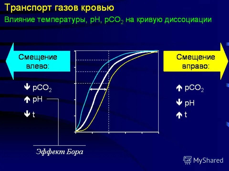 Дыхание транспорт газов кровью