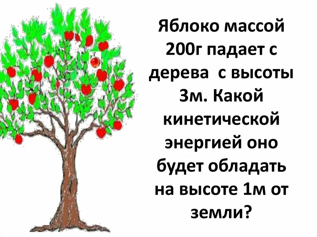 Мимо яблоньки. Яблоко массой 200 г падает с дерева с высоты 3 м. Яблоко падает с дерева какая энергия. Яблоко весом 200 г падает с высоты. Яблоко упало с яблони.