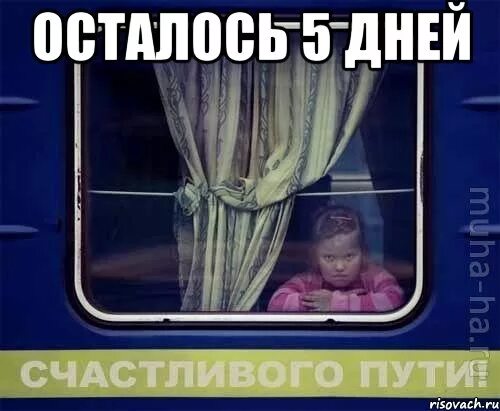 3 дня ехать
