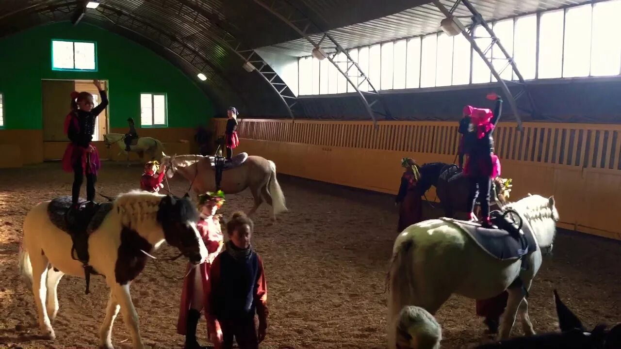 Ютуб триумф. Кск триумф. триумф тюмень конный клуб. кск ратомка минск. конно спортивный клуб триумф тюмень.