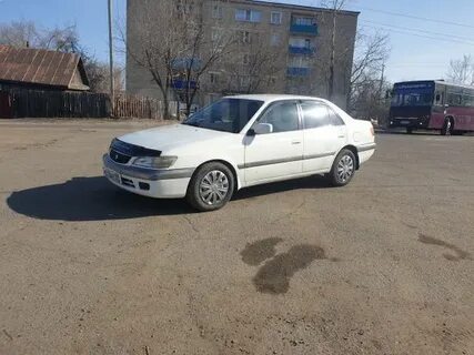 Корона премио 98 года