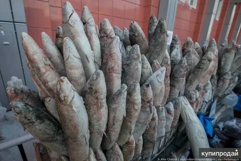 Рыба в розницу