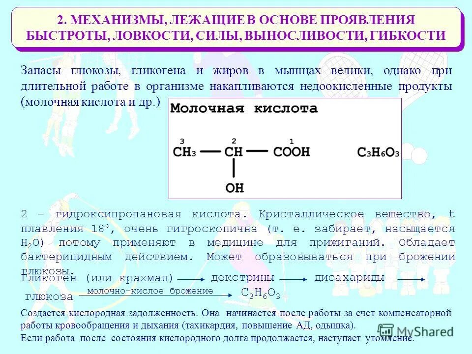 Какие механизмы лежат в основе формирования человеческих. Что лежит в основе формирования человеческих рас биология. Какие механизмы лежат лежат в основе формирования человеческих рас. Механизмы проявления быстроты. Механизм формирования временной связи.