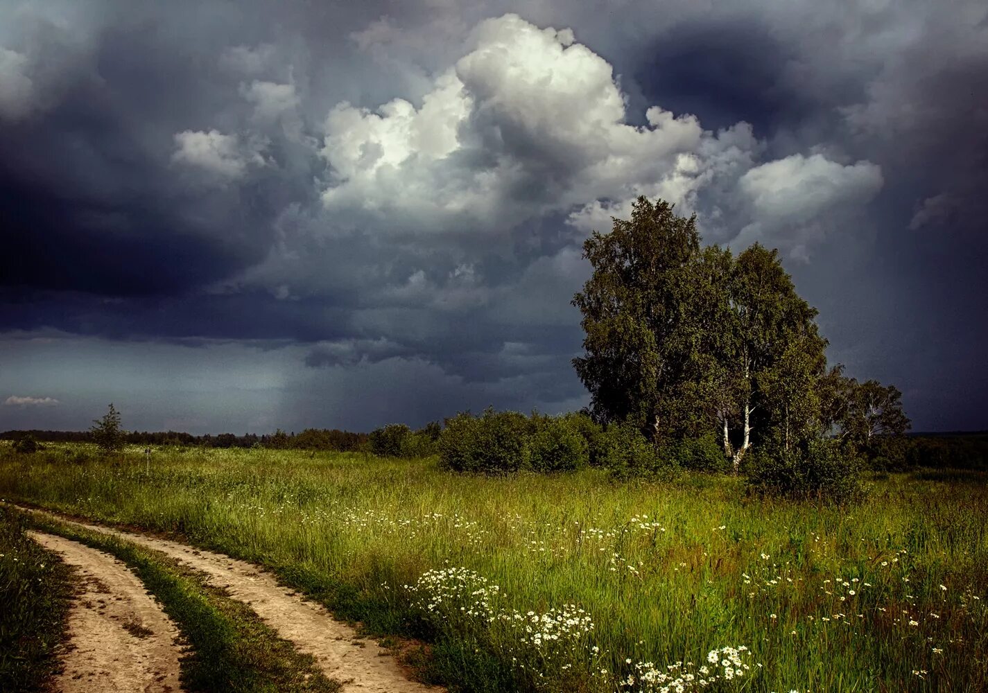 Перед дождем болит. Шишкин перед грозой. Шишкин поле гроза. Природа перед дождем. Летний пейзаж.