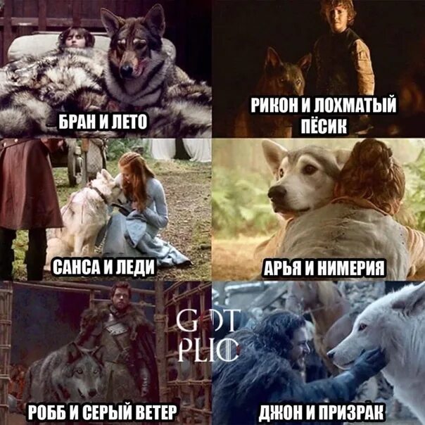 Старки цитаты
