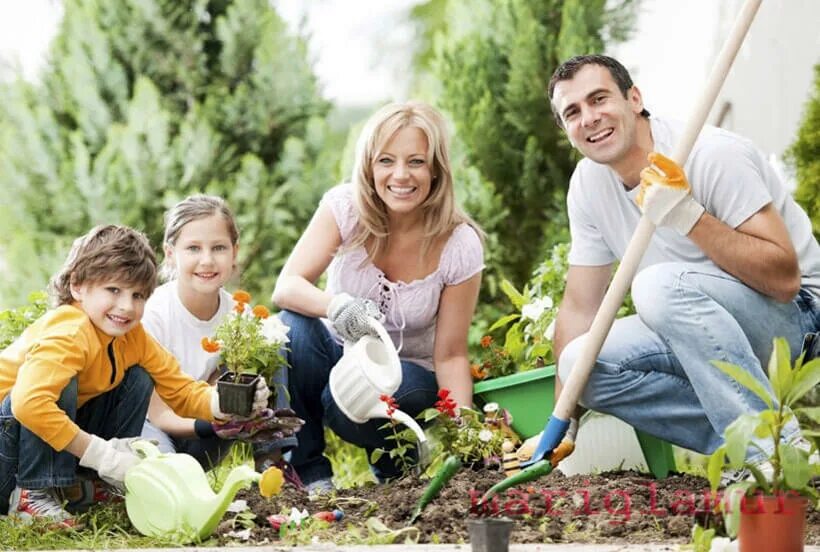 Посадка растений в саду. Совместный труд в семье. Семья на даче. Труд в саду. Помогу на даче.