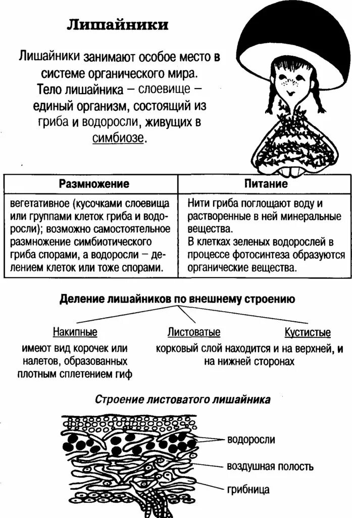 Многообразие грибов и лишайников таблица. Царство грибы отдел лишайники таблица строение. Конспект биология грибы лишайники 5 класс. Царство грибов таблицы биология.