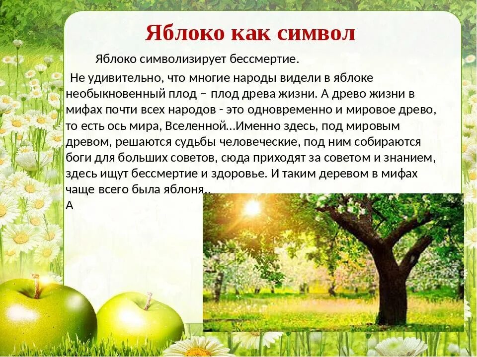 Почему падает яблоня. Яблоко для презентации. презентация на тему яблоня. легенда о яблоке. описание яблони.