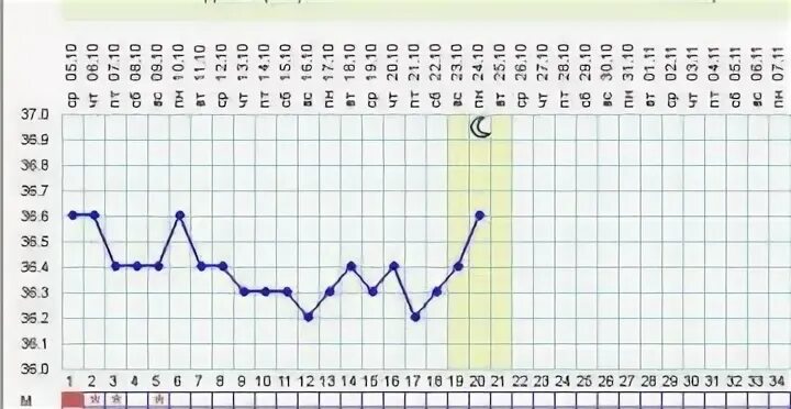 21 цикл овуляция