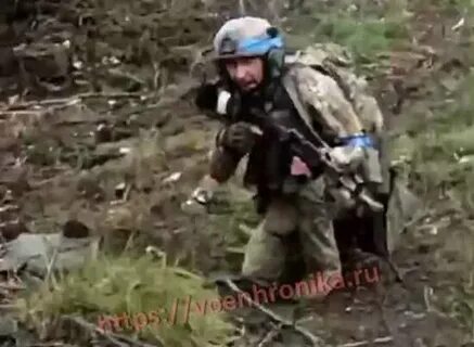 Бои за синьковку 2023