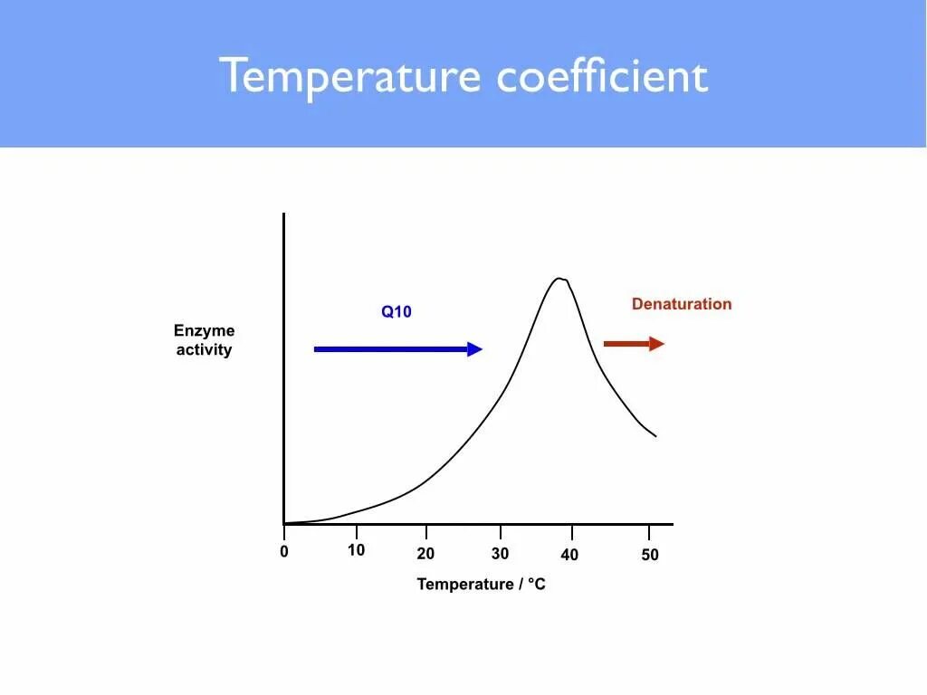 The effect of the temperature. Effect of temperature and ph on enzyme activity. enzymes activity ph scale. effect of temperature and ph on enzyme activity report. lab temperature and enzyme action.