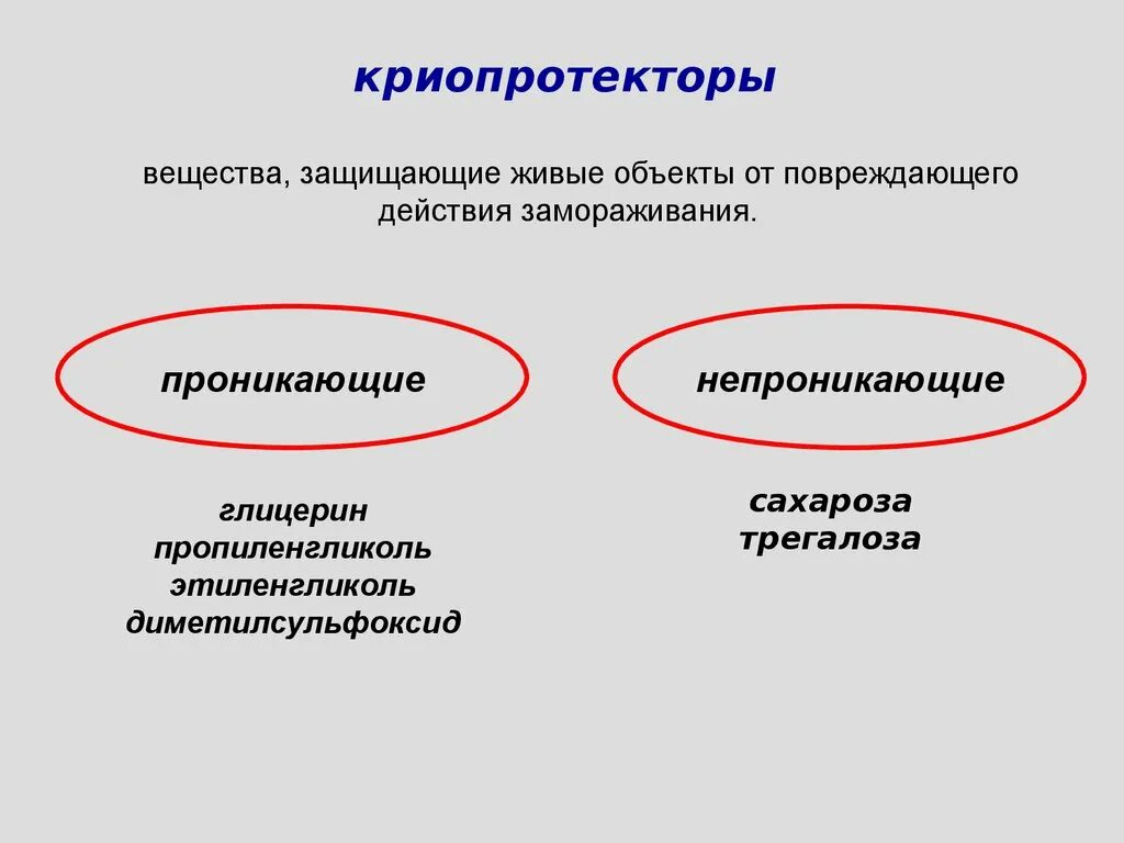 Вещества и защищающим ее от. Вещества криопротекторы. криопротекторы для растений. непроникающие криопротекторы. этиленгликоль криопротектор.
