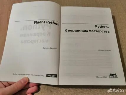 Python к вершинам мастерства