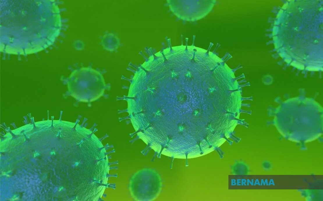 Текстура вируса. Вирус 2d. Обои зелёные биологическое заражение. Virus 3d.