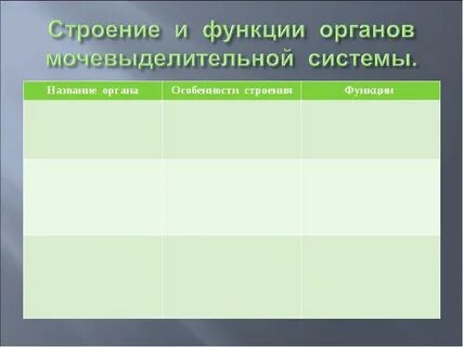 Функции органов 5 класс