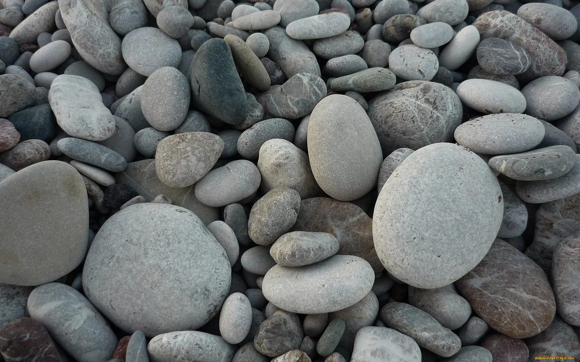 Красивые камушки. Камень галька. Камень галька крупная. Речные камни.