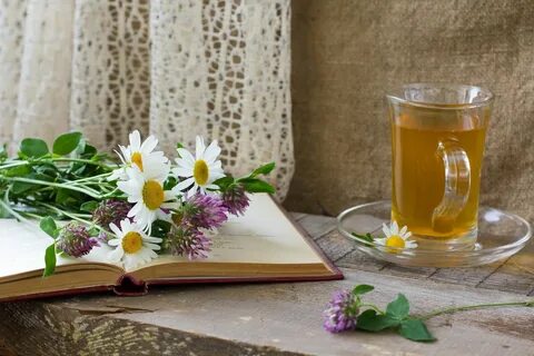 Читать на каждый день утреннее