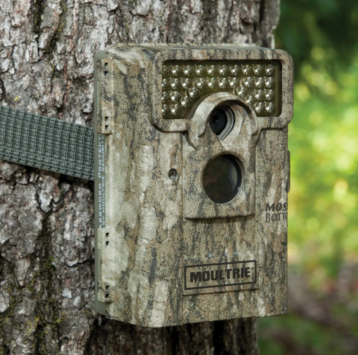 Что такое фотоловушка в биологии. Фотоловушка Trail Camera. Фотоловушка Ucon. Мини фотоловушка. Фотоловушка на дереве.