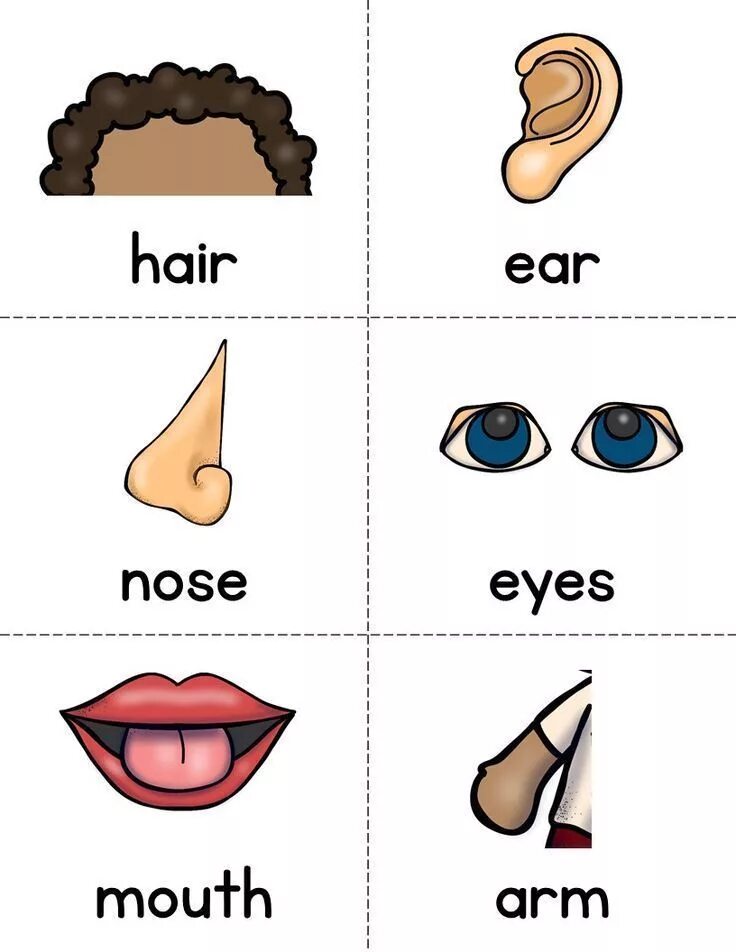 Nose как читается