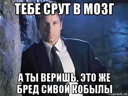 Бред сивой кобылы это что значит