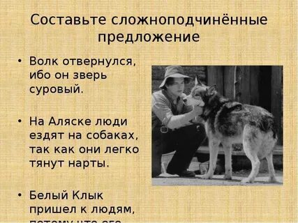 Предложение с словом волк