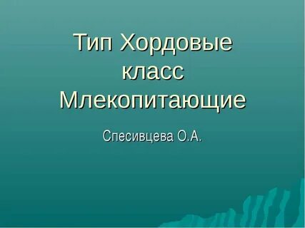 Презентация вид 6 класс