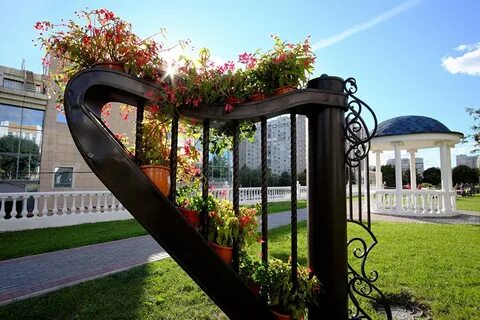 Моцарт северное бутово