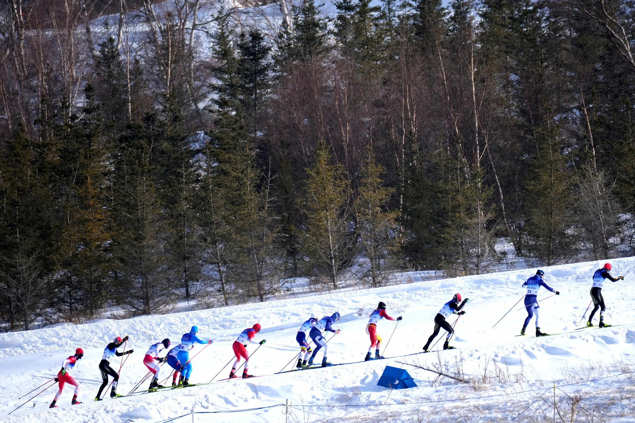 Кск30 - гонка. Вымпел традиционная лыжная гонка на 30 км Беломорец.